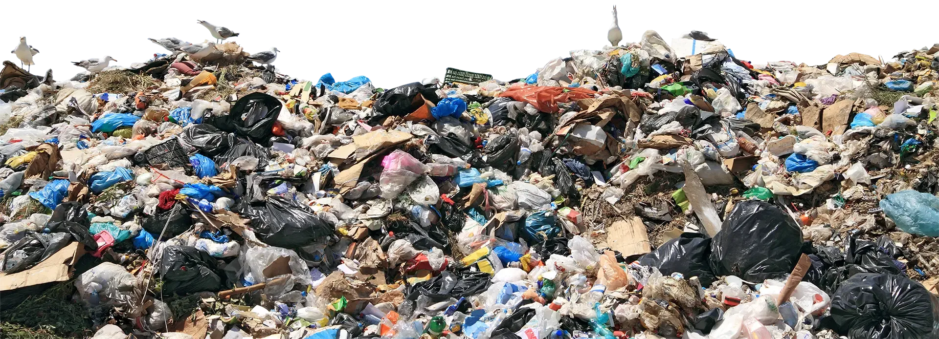 Image of Waste  - Circular&Co Sustainable Drinkware